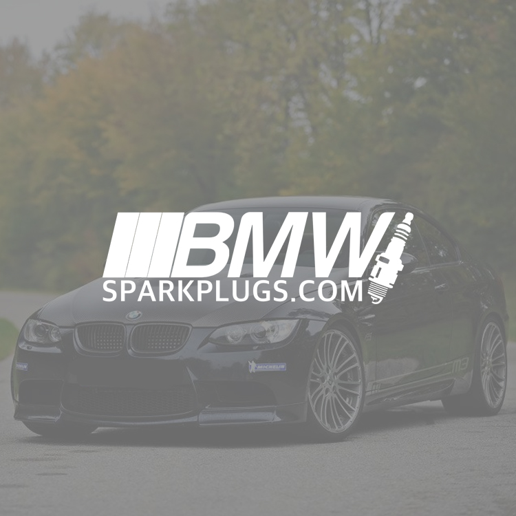BMW Spark Plugs